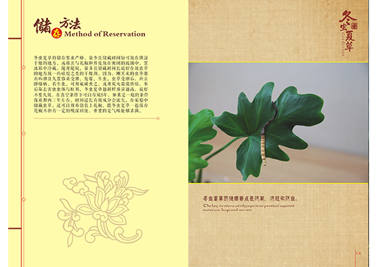 &#29233;&#28216;&#25103;&#23448;&#26041;&#32593;&#31449;&#45;&#29233;&#28216;&#25103;&#20840;&#31449;&#65;&#80;&#80;&#40;&#97;&#121;&#120;&#41;&#20013;&#22269;&#23448;&#26041;&#32593;&#31449;